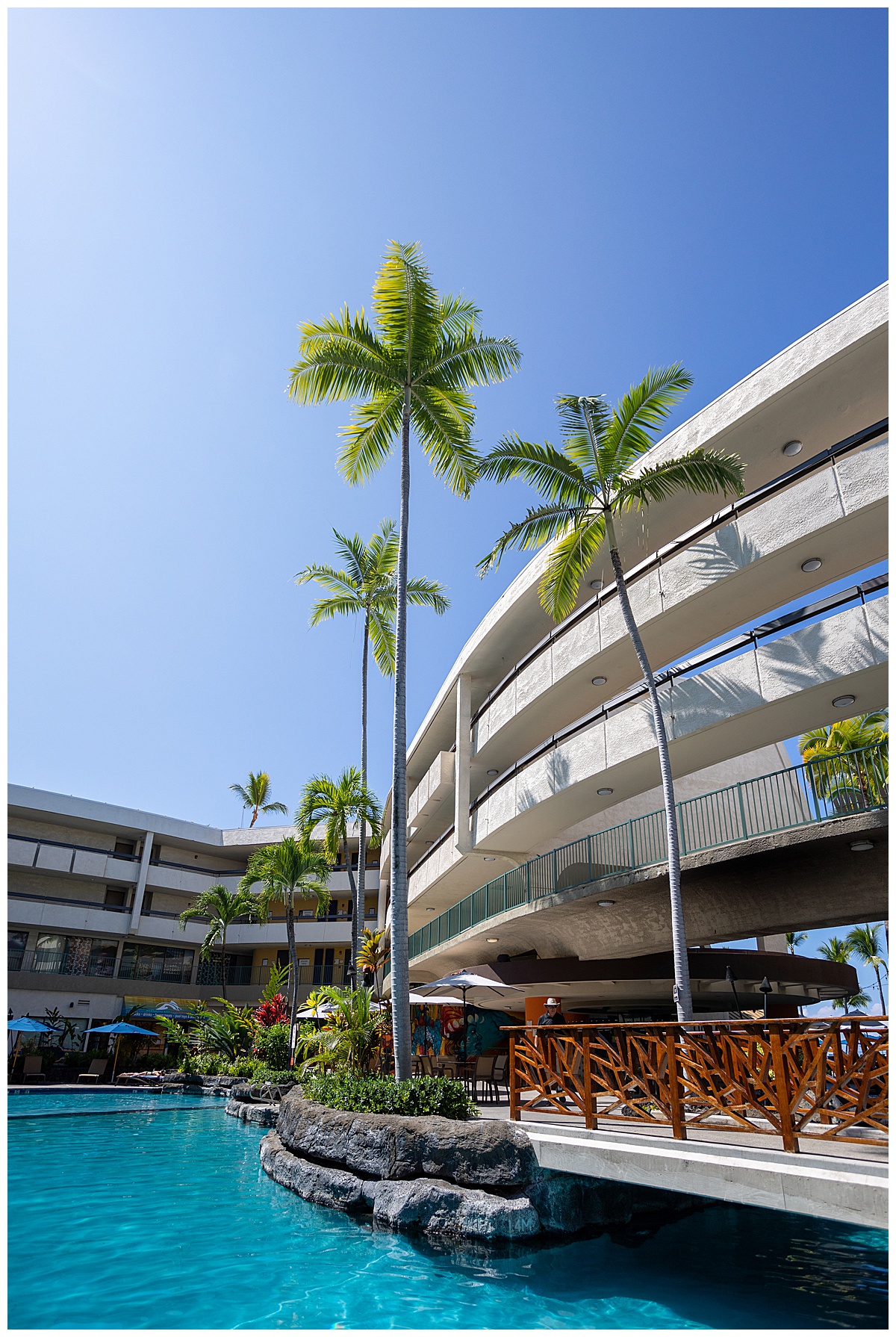 Views of palm trees from inside the adults only pool. The poolside bar is in the background and a bridge leads to the bar.