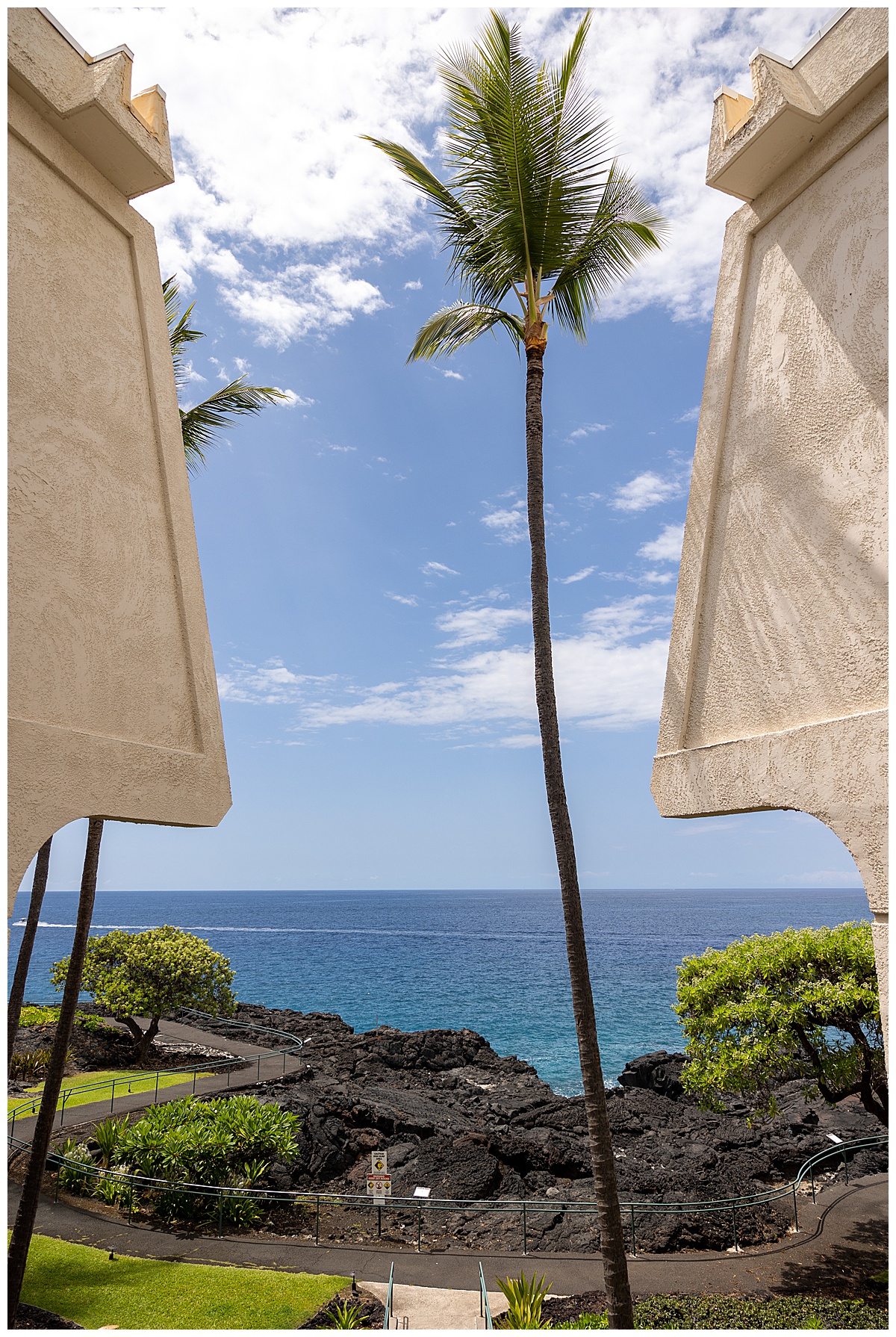 View of the ocean from a hallway of the resort. A tall palm free is centered in the image, and there are room lanais on either side of the image.